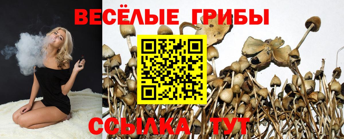 Рузаевка  Галлюциногенные грибы Psilocybine cubensis  Галлюциногенные грибы ЛСД  Вход с VPN 