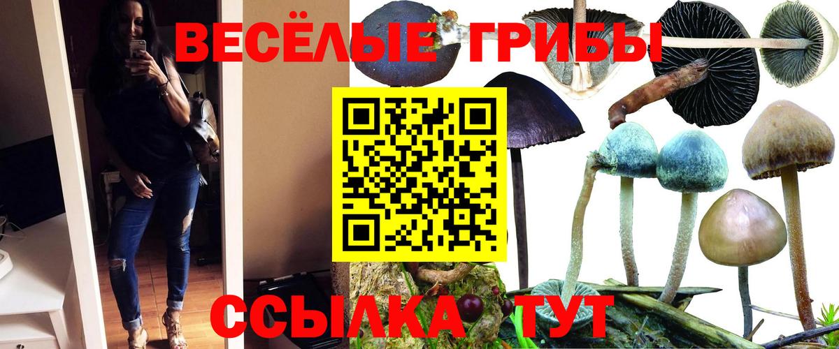 Галлюциногенные грибы ЛСД Рузаевка